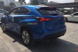 Lexus NX300 2020