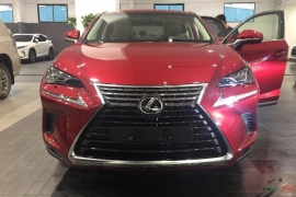 Lexus NX 300 2020