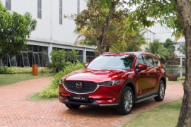 Mazda CX-8 2.5L Premium AWD-6S