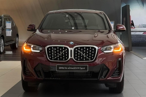 BMW X4 xDrive20i M Sport